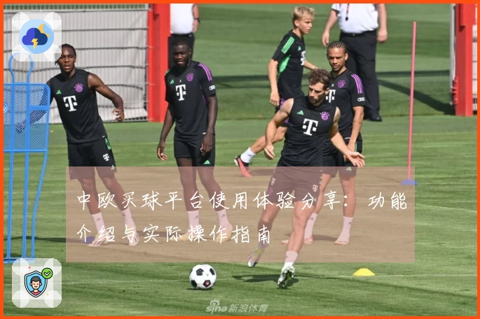 中欧买球平台使用体验分享：功能介绍与实际操作指南