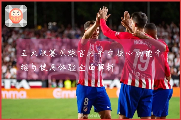 五大联赛买球官方平台核心功能介绍与使用体验全面解析